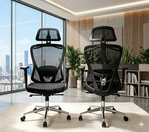 Orthopedic Chair