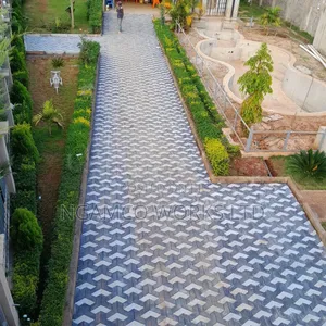 Coloured 3D Cabro Paving Blocks