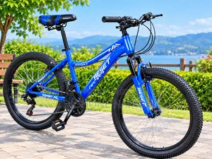 Reset Sport Mountain Bike Size 24