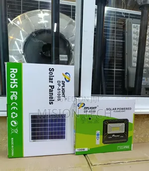 100W Solar Floodlight* 