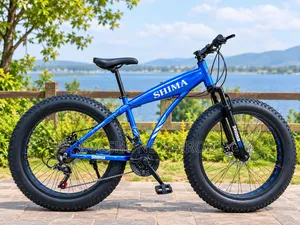 Shima Fat Tire Mountain Bike
