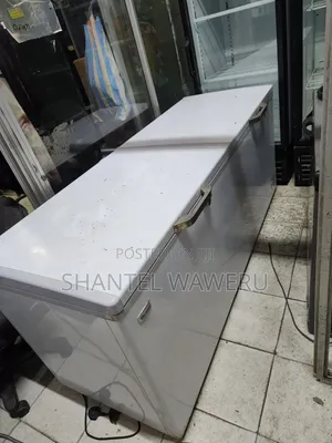 CCommercial Big Chest Freezer