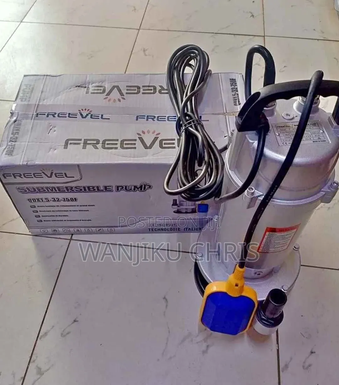 Freevel 1hp Submersible Water Pump/Qdx1.5-32-750f With Float Switch