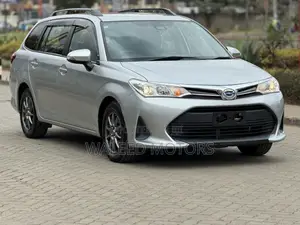Toyota Corolla Fielder 2020 Silver
