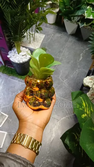 Succelet Flowers Home Decor