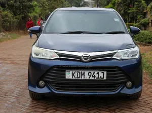Toyota Axio 2017 Blue