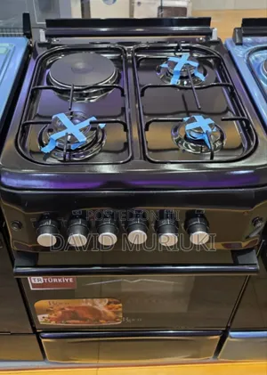 Roch Turkey Black 50×55 Standing 3+1 Cooker