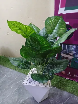Unique Artificial Plants for TV Decoration