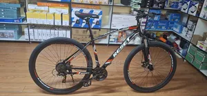 Reset 29-Inch Mountain Bike MTB