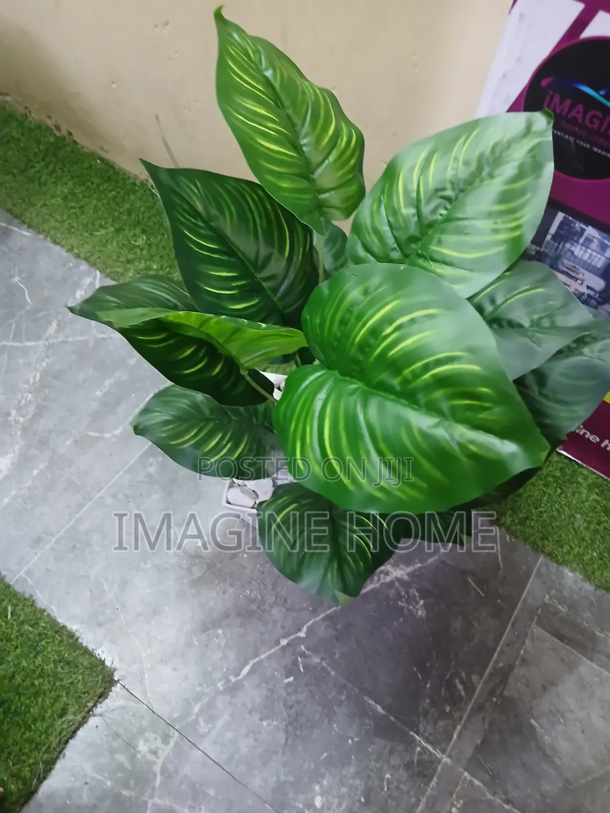 Unique Artificial Plants for TV Decoration