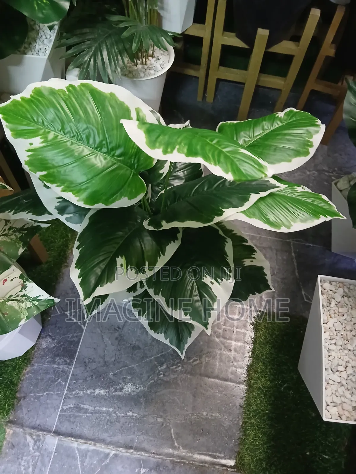 Cozy and Stylish Artificial Plant