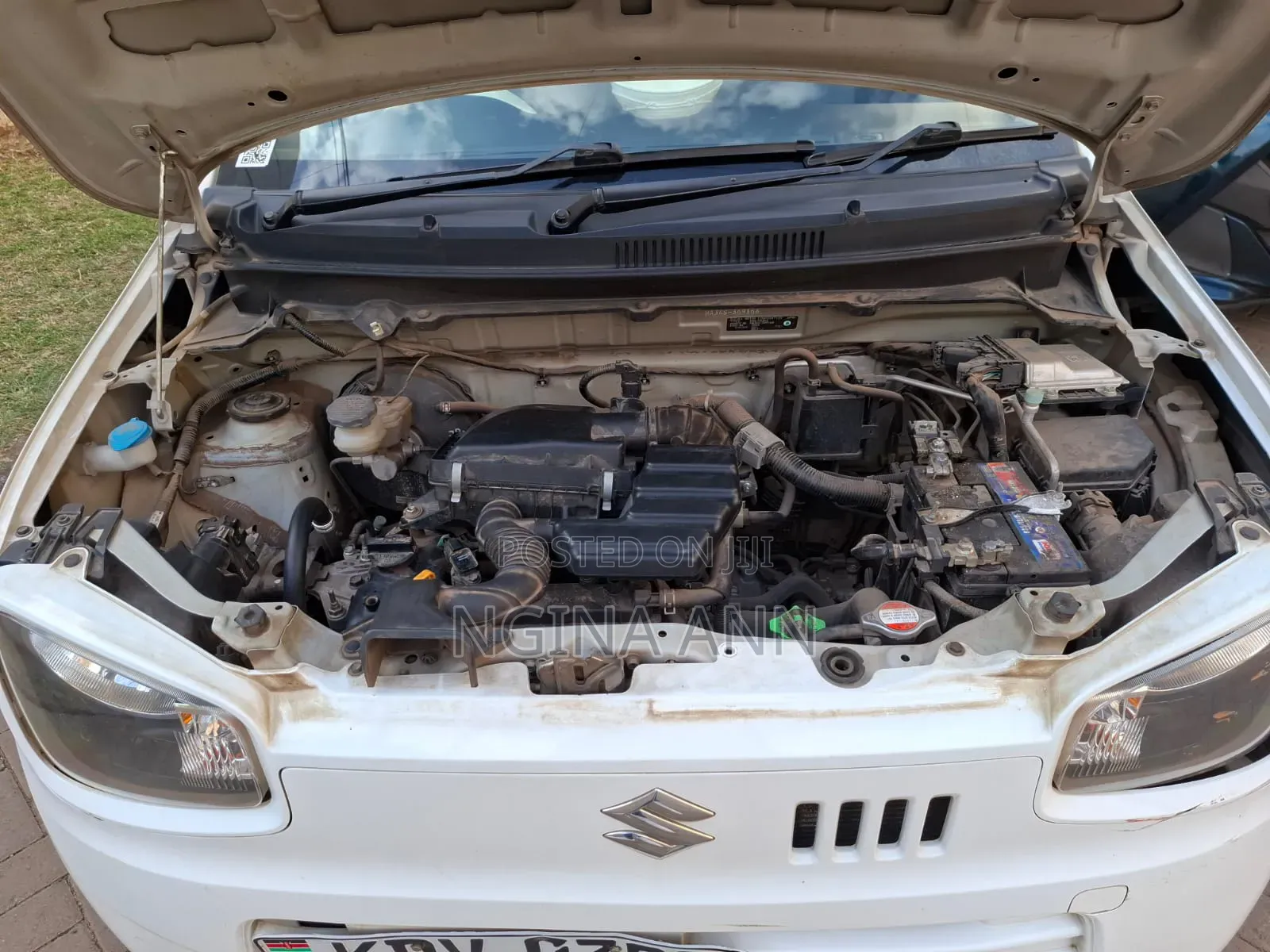 Suzuki Alto 2017 White