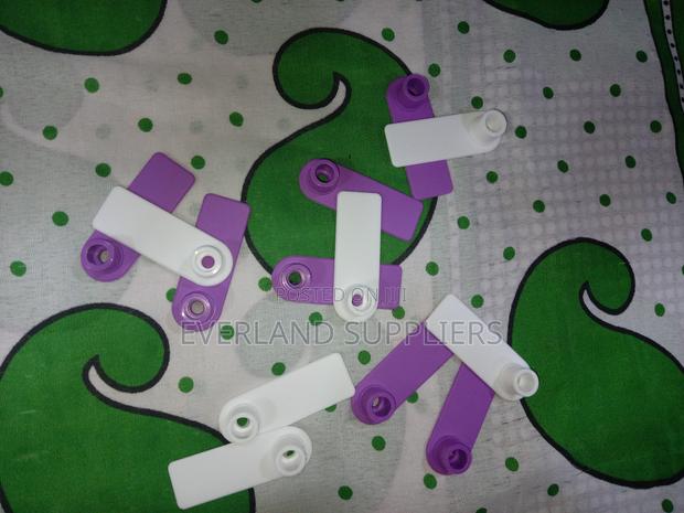 Ear Tags - Marking Flexibility a Pack - main view