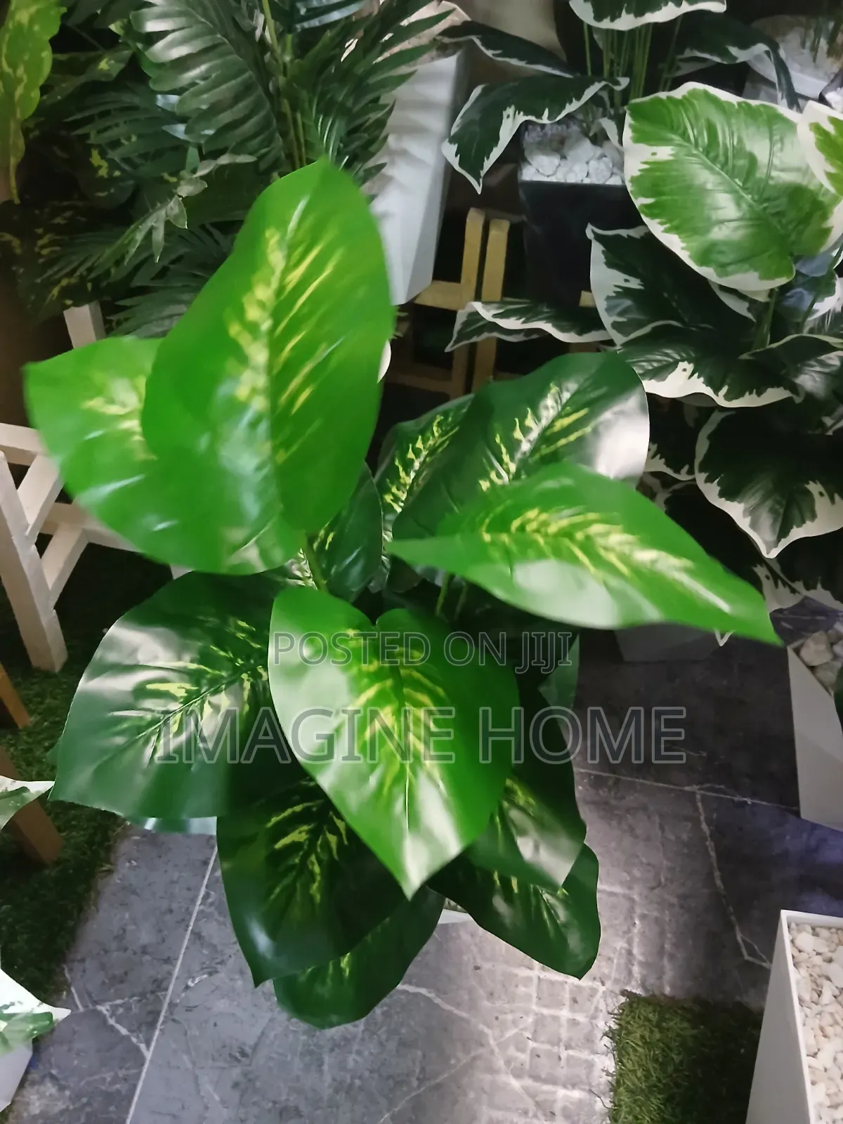 Luxury Touch Artificial Plants