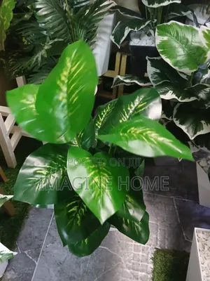 Luxury Touch Artificial Plants