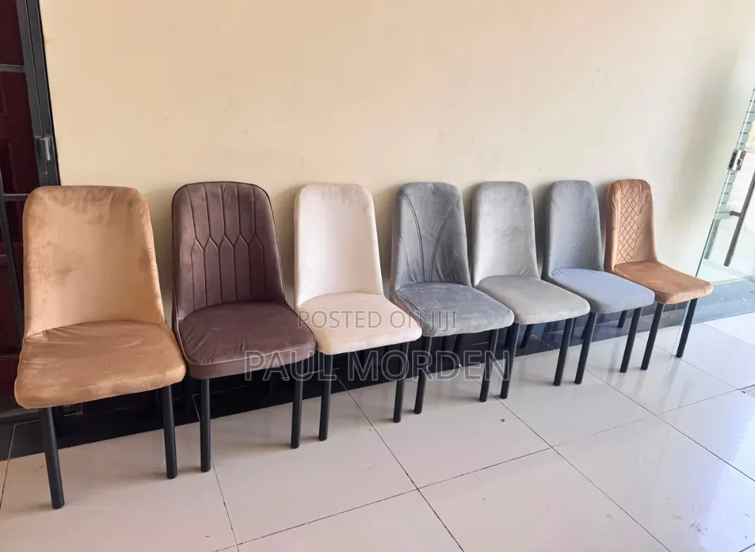 Multicolored Best Quality Dining Chairs