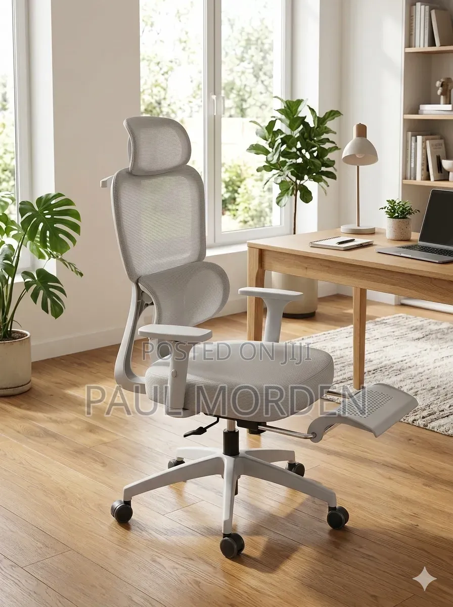 Executive Office Ergonomic Chair - Adjustable