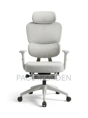 Executive Office Ergonomic Chair - Adjustable