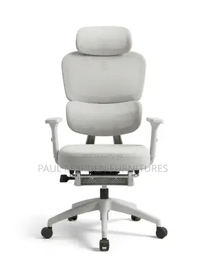 Executive Office Ergonomic Chair - Adjustable