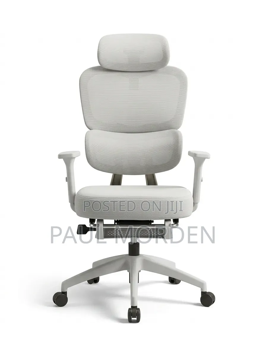 Executive Office Ergonomic Chair - Adjustable