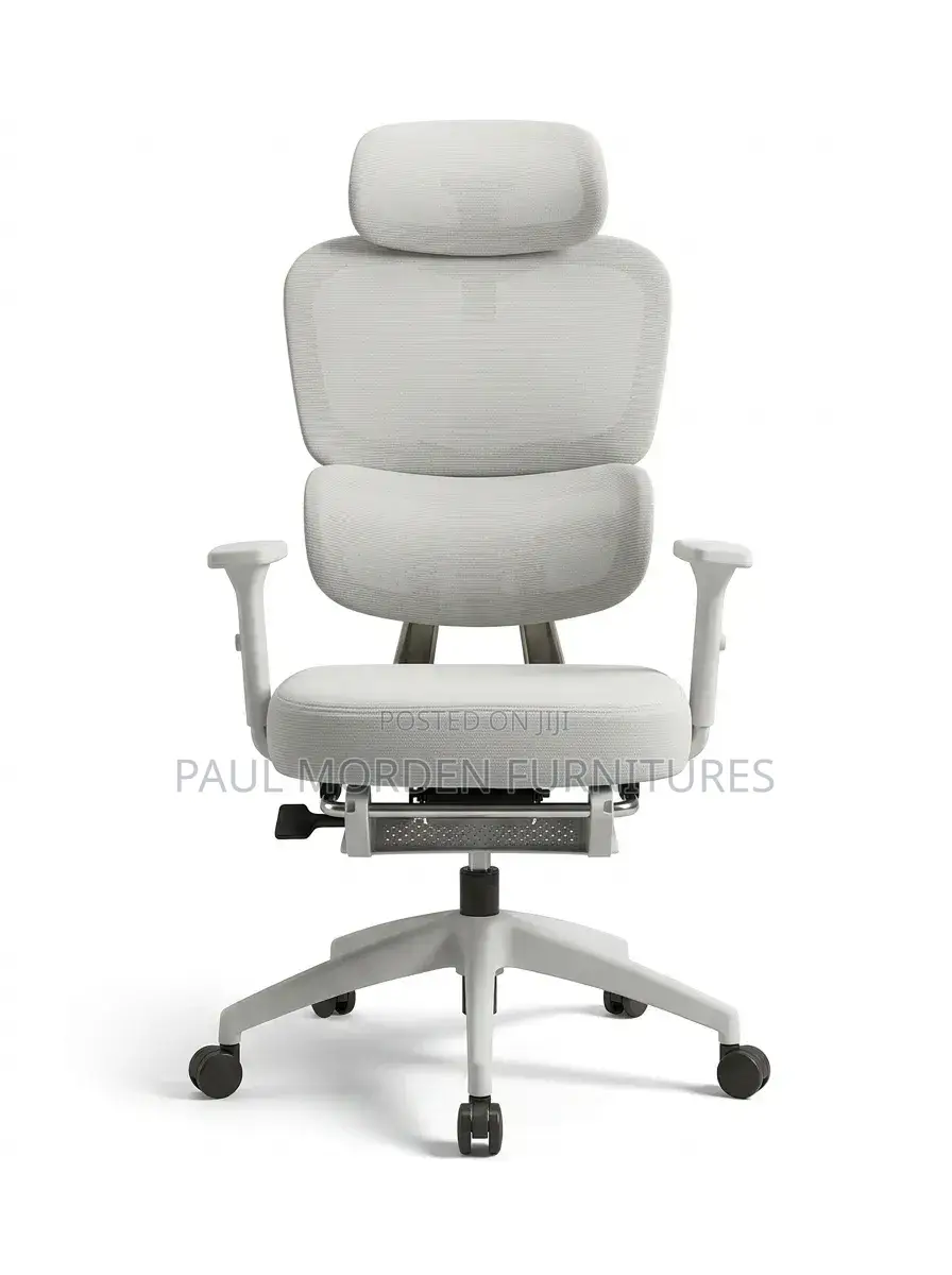 Executive Office Ergonomic Chair - Adjustable
