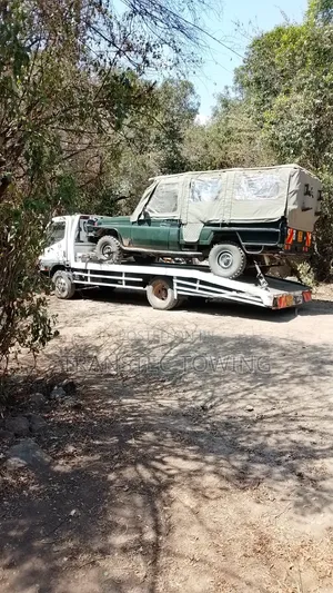 Car Carrier and Breakdown Services Flatbed