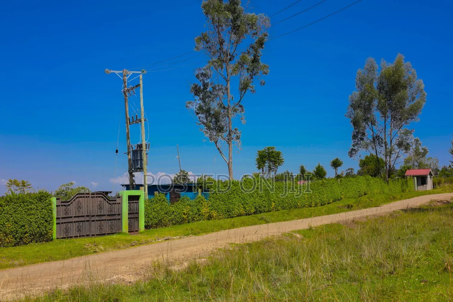 Ndunyu Njeru Town Plots -Nyandarua