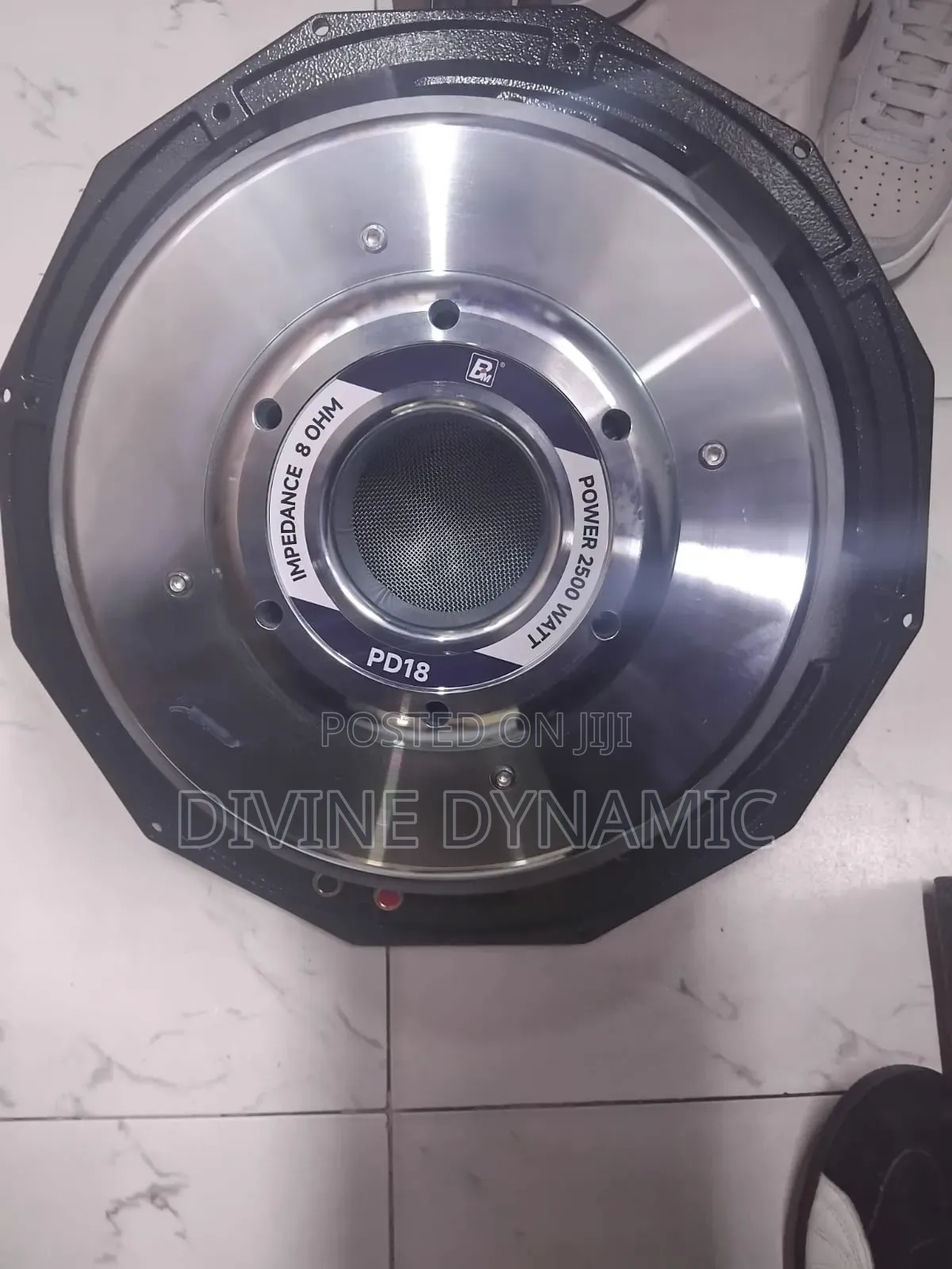 PD 18 Silver Naked Speaker 18 Inch