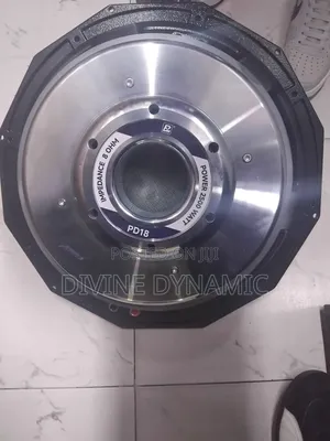 PD 18 Silver Naked Speaker 18 Inch