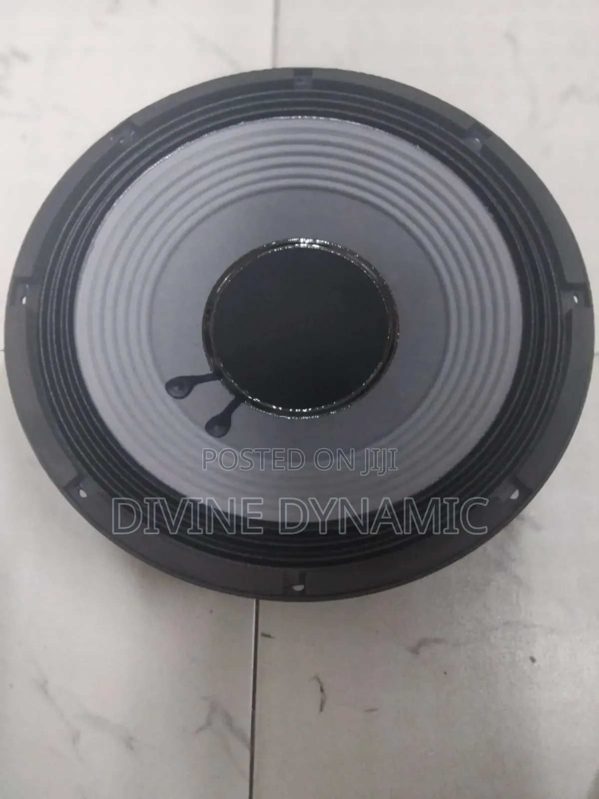 PD 18 Silver Naked Speaker 18 Inch