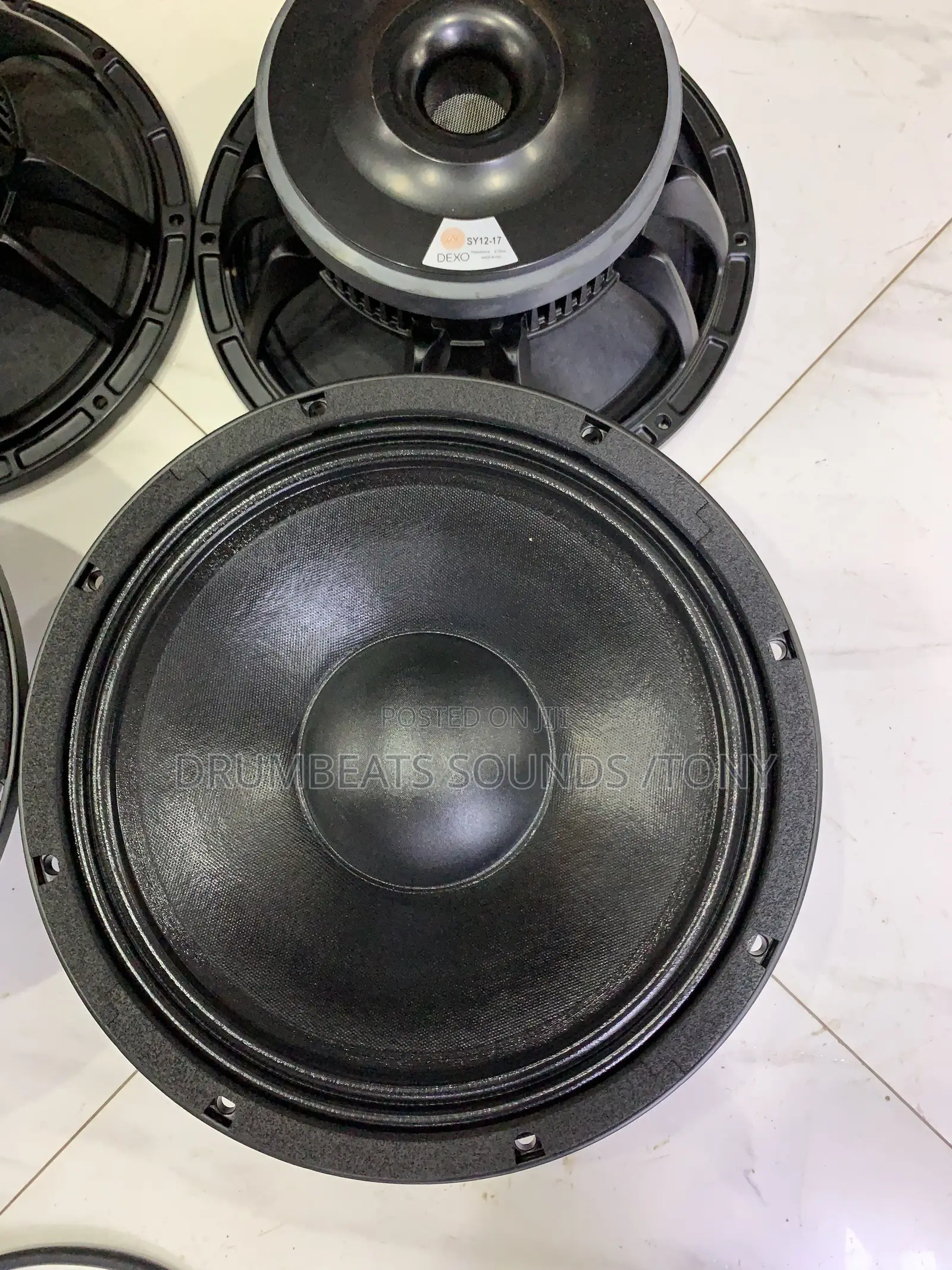 Dexo 12” Speaker