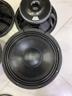 Dexo 12” Speaker