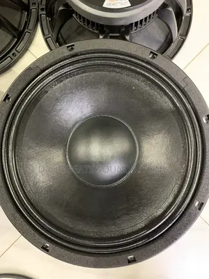Dexo 12” Speaker
