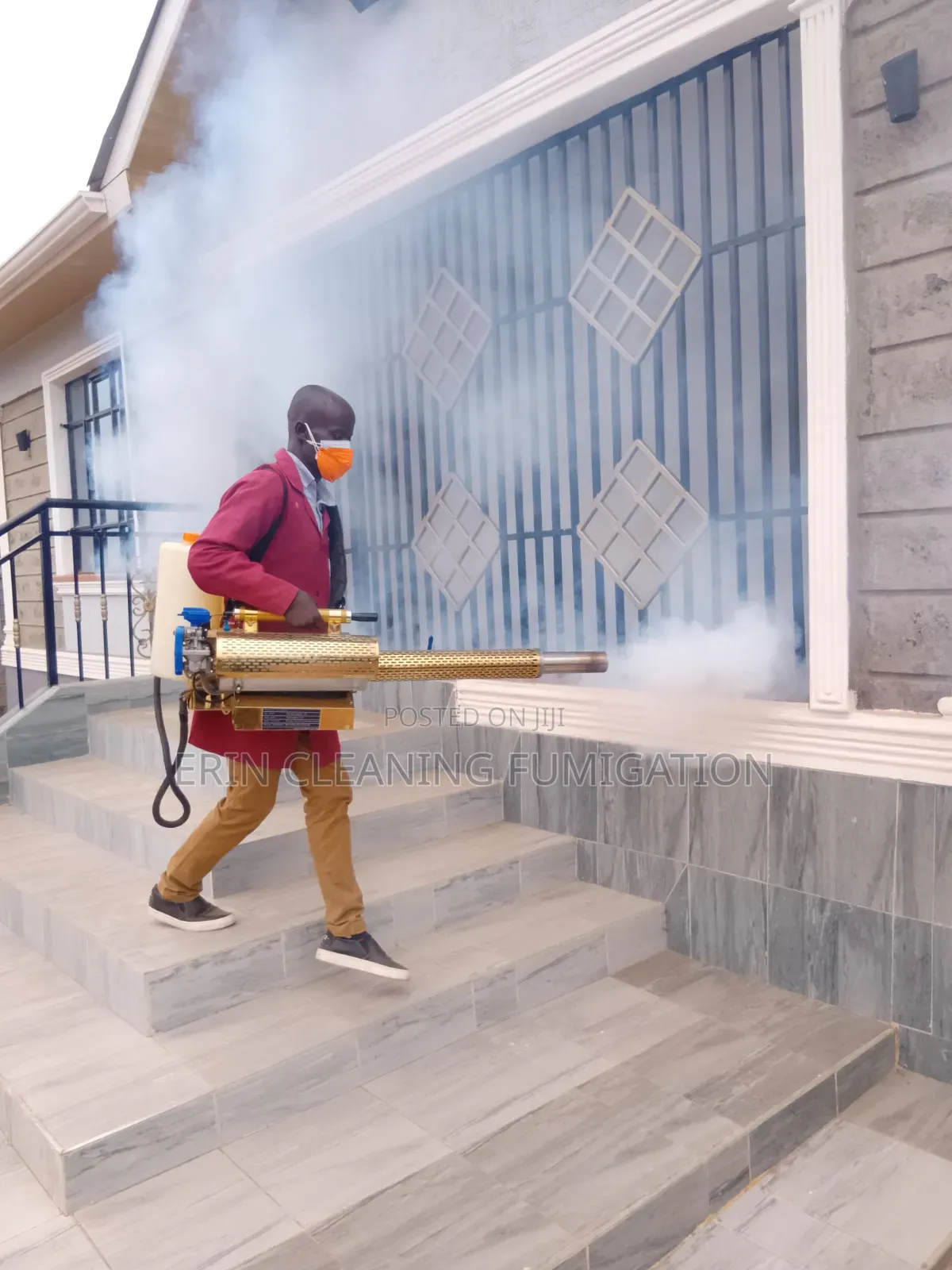 Cockroach Fogging and Bedbugs Fumigation