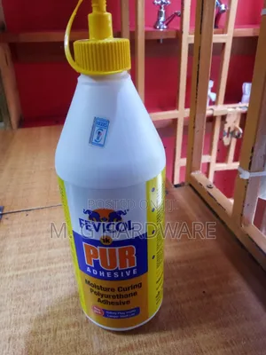 Fevicol Pur Adhesive Glue 1kg