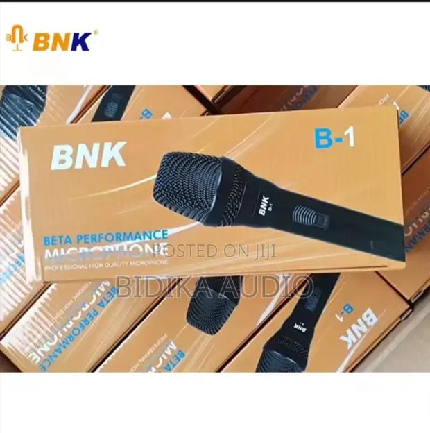 BNK Professional Wired Microphone B-1 - main view