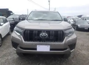 Toyota Land Cruiser Prado 2.8 2022 Gray