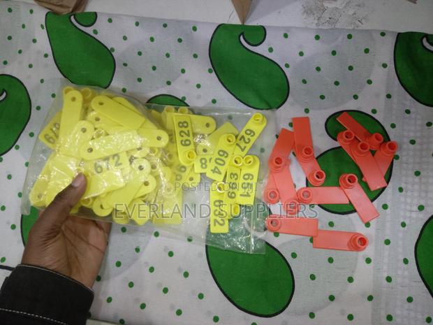 Ear Tags - Ready Number Range (100pcs) - main view