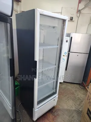 Cool Africa Display Fridge 400litres