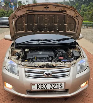 Toyota Axio 2006 Gold