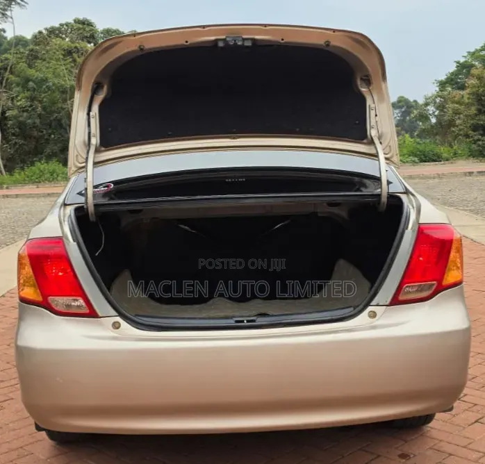 Toyota Axio 2006 Gold