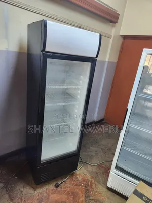 Low Energy Consumption Display Refrigerator