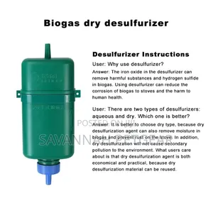 Eco Friendly Biogas Desulphurizers LN-TKA8 Biogas Purifier