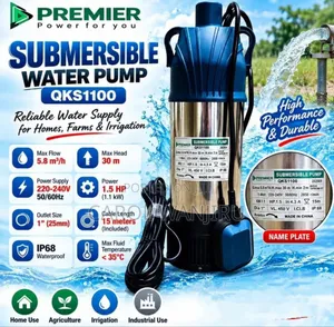 Premier Qks1100 1.5Hp Submersible Water Pump/1.5Hp Premier Pump