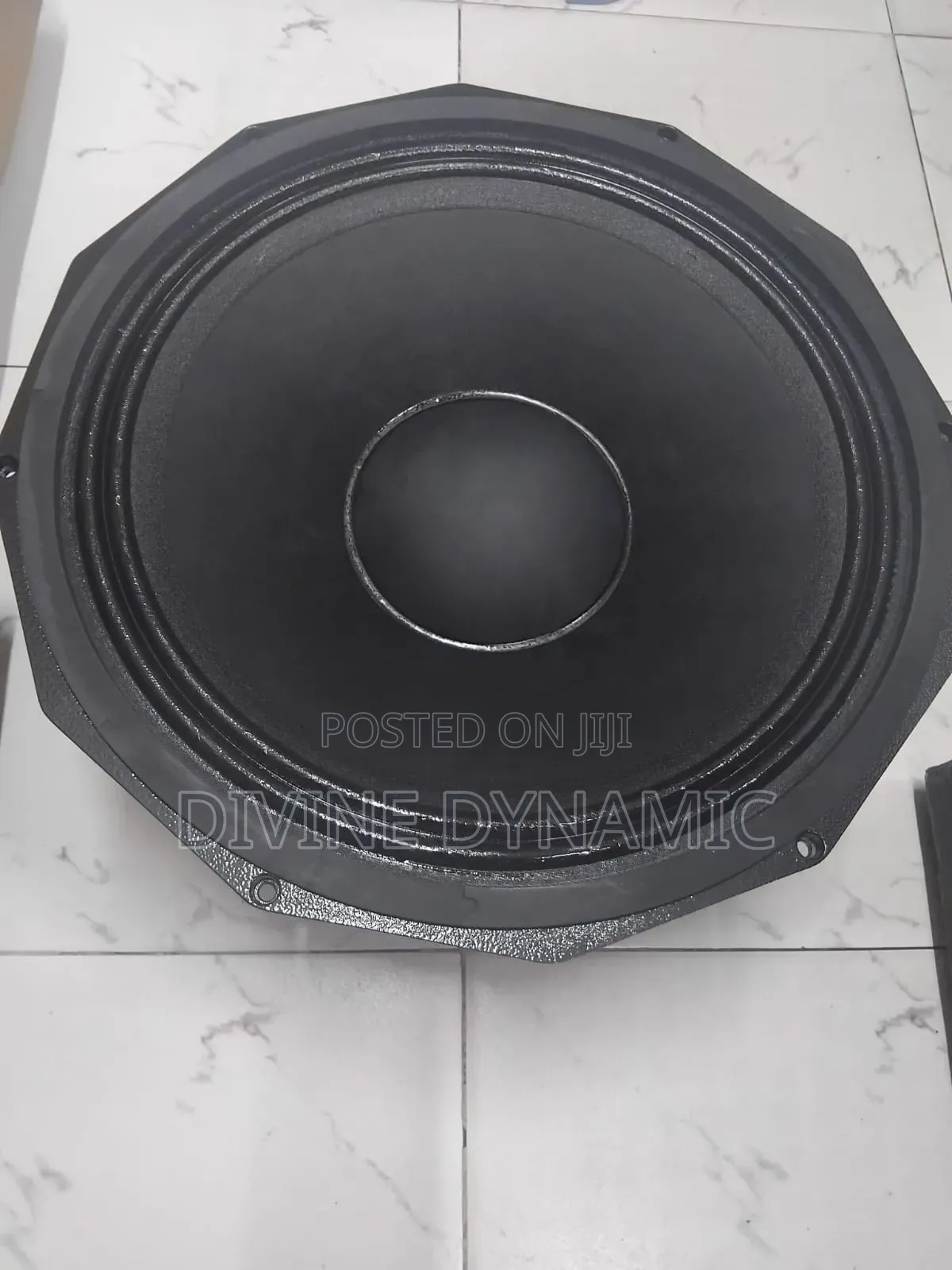 JBL Naked Speaker 12 Inches