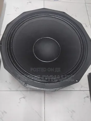 JBL Naked Speaker 12 Inches
