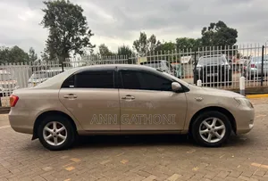Toyota Axio 2006 Gold