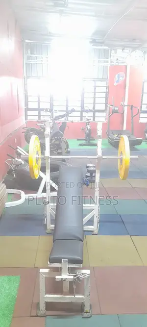 Adjustable Chest Bench Incline/Decline/Flat
