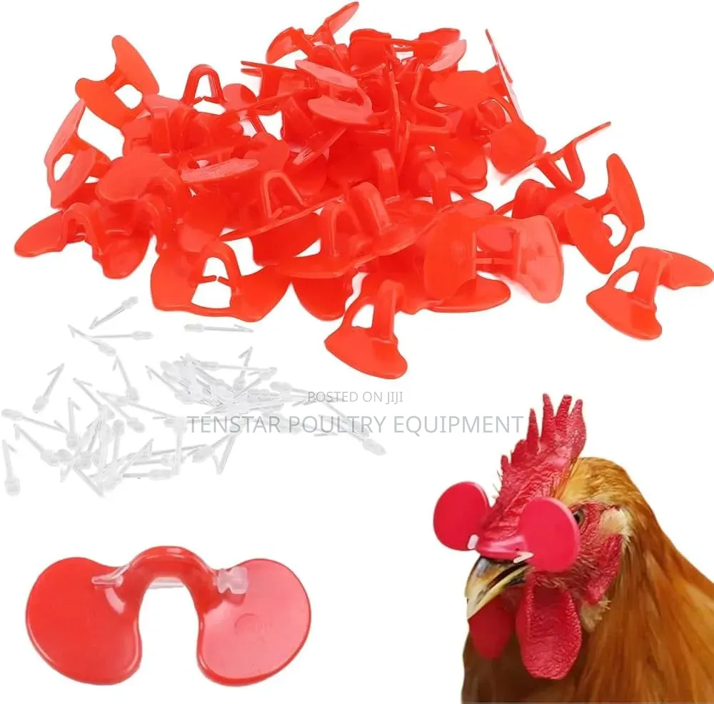 Chicken Anti-Pecking Glasses