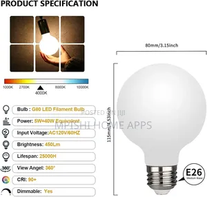 G80 Frosted LED Antique Edison Bulb
